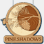 pineshadowsmotel.com