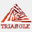 triangle-it.com