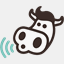 wifi.lazooo.com