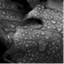 uniscientist.wordpress.com