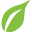 biomayan.com