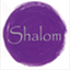 shalomgroup.com