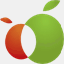 orangesonappletrees.com