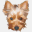 mini-wolf.de