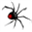 webbing.ws