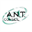 ant-conseils.com