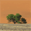 intothegreen.ch