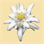 monisdesign.com