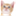 catdreams.us