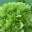 murmarian.wordpress.com