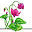 blackhawkbloomers.org