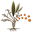 exoticspiceco.com
