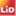 lid.org.pl