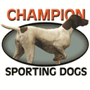 championsportingdogs.com