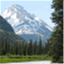 forestandtree.org
