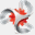webintel.net