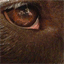 nickwingfield.com