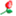 weaam.net