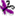 valleyaeyc.org