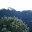 intannajma.wordpress.com