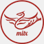 mitx.it