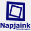 napjaink.org