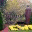 intlstudentsatliu.wordpress.com