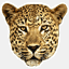 leoparder.se