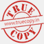 tsec.truecopy.in