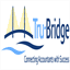 tru-bridge.com