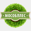 borodinskiy.mosoblles.com