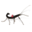 phasmiduniverse.com