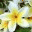 itsteju.wordpress.com