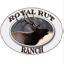 royalrut.com