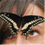 pixypatch.com