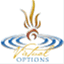 virtualoptions.wordpress.com