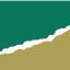 asengalogistica.com
