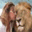 petcommunicator.com