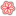 wunder-shop.ch