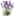 gite-java.com