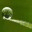greentechworld.wordpress.com