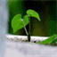 titemum71.over-blog.com