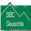 gauschla-berglauf.ch