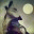 howlingwithcleo.wordpress.com