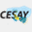 cesay.org.mx