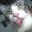 joeypix.wordpress.com