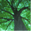 activeintuition.wordpress.com