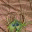 divandisguise.com