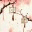 holataworld.wordpress.com