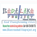 blog.bluecrossbadilikaproject.org